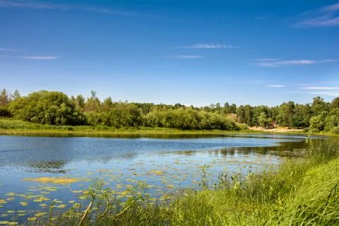 Summer on the river bank Stock Photos