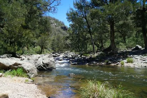 Summer River Camping Stock Photos