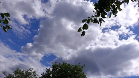 Summer River Environment Stock Footage 102520510