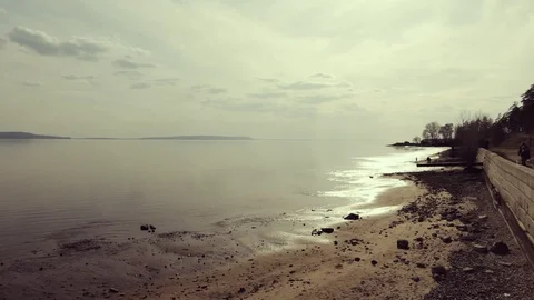 Summer by the river. Stock Footage 107360562