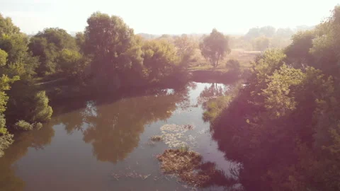 Summer river Stock Footage 147128000