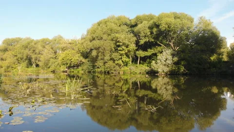 Summer river Stock Footage 147152693