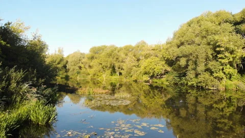 Summer river Stock Footage 147152710