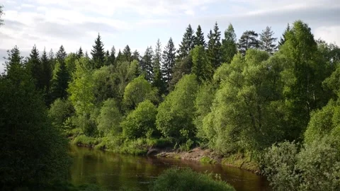 Summer river. Stock Footage 155881573