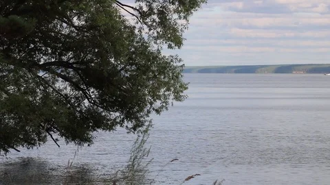 Summer, river, grass, sky and clouds Stock Footage 119872953