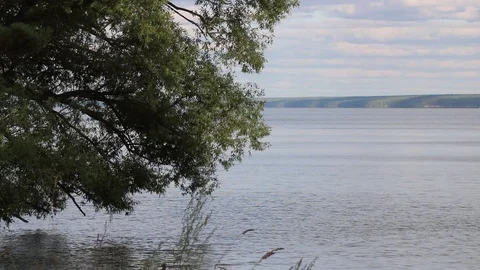 Summer, river, grass, sky and clouds Stock Footage 119872974