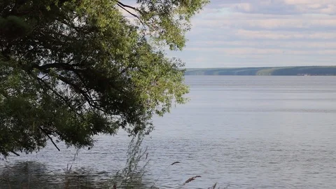 Summer, river, grass, sky and clouds Stock Footage 119873007