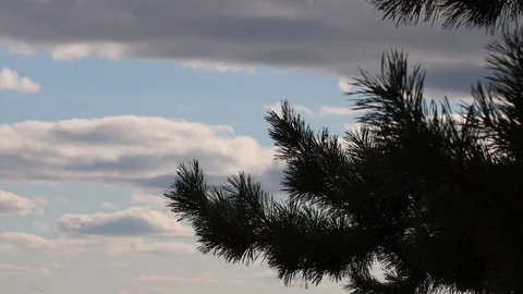 Summer, river, grass, sky and clouds Stock Footage 119873199