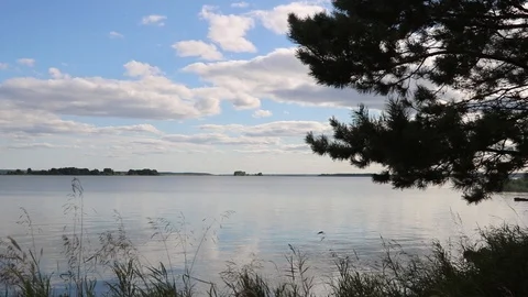 Summer, river, grass, sky and clouds Stock Footage 119873260