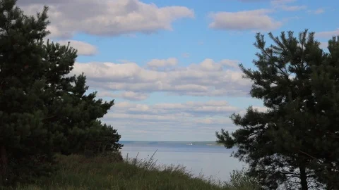 Summer, river, grass, sky and clouds Stock Footage 119873300