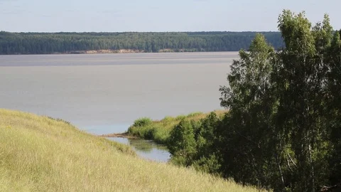 Summer, river, grass, sky and clouds Stock Footage 119873341