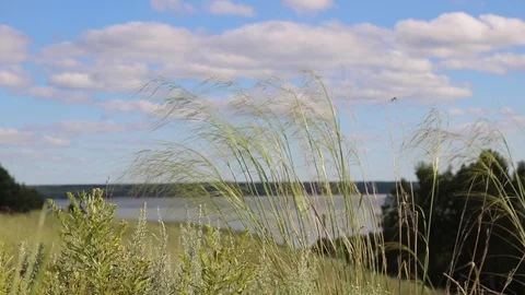 Summer, river, grass, sky and clouds Stock Footage 119873397