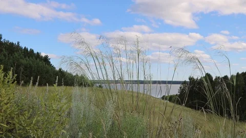 Summer, river, grass, sky and clouds Stock Footage 119873473