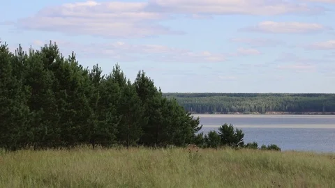 Summer, river, grass, sky and clouds Stock Footage 119873490