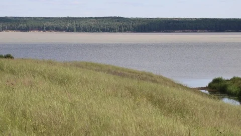 Summer, river, grass, sky and clouds Stock Footage 119873526
