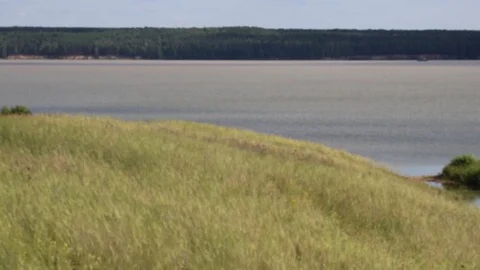 Summer, river, grass, sky and clouds Stock Footage 119873544