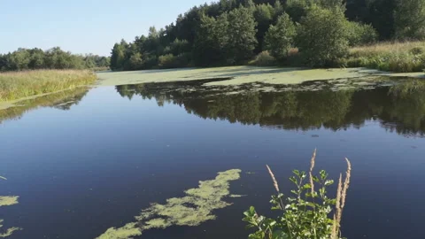 Summer river landscape Stock-Footage 119886231