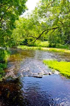 Summer river landscape Stock Photos