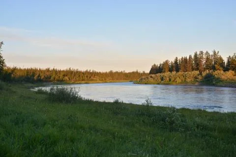 Summer river landscape. Stock Photos