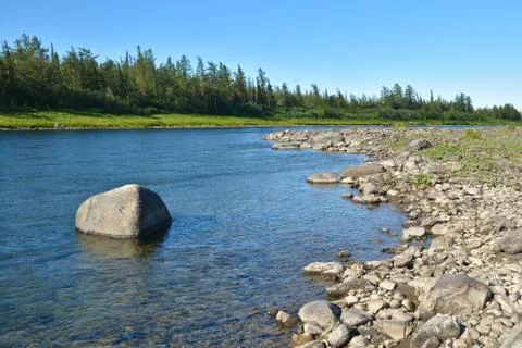 Summer river landscape. Stock Photos