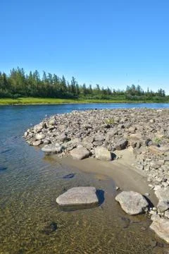 Summer river landscape. Stock Photos