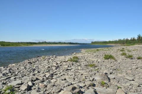 Summer river landscape. Stock Photos