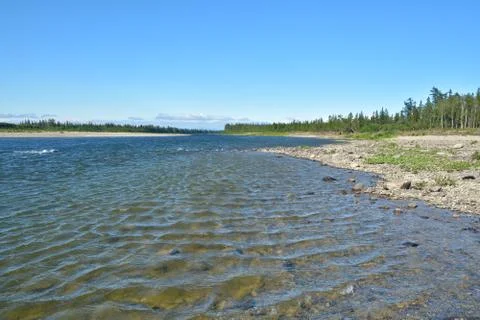 Summer river landscape. Stock Photos