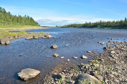 Summer river landscape. Stock Photos