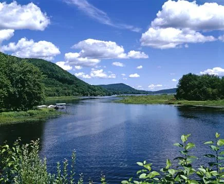 Summer River Landscape Stock Photos