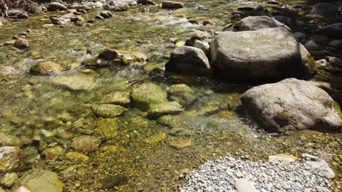 Summer River in the Mountain Stock Footage 203890261