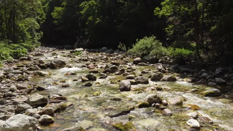 Summer River in the Mountain Stock Footage 203890394