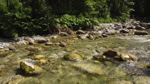 Summer River in the Mountain Stock Footage 203891259
