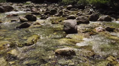 Summer River in the Mountain Stock Footage 203891551
