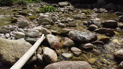 Summer River in the Mountain Stock Footage 203891728