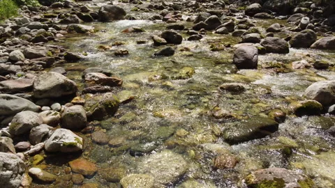 Summer River in the Mountain, Water Flow 스톡 동영상 203891366