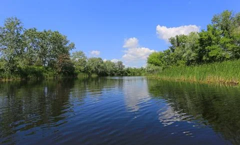 Summer on river Stock Photos