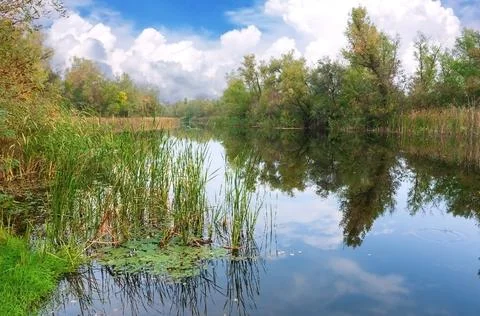 Summer on river Fotos de archivo