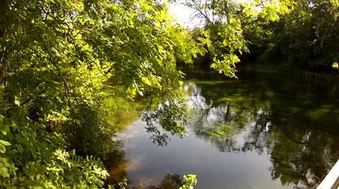 Summer River Scene with Shimmering Light Stock Footage 12143808