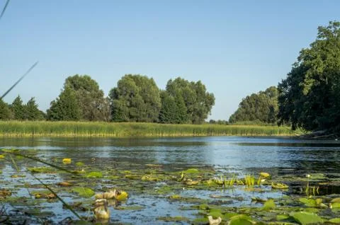 Summer river Sula Foto stock