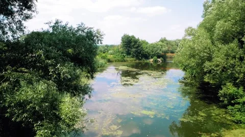 Summer river.  Summer landscape with river. Video stock 157979871