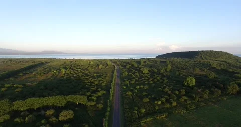 Summer road Stock Footage 149942796