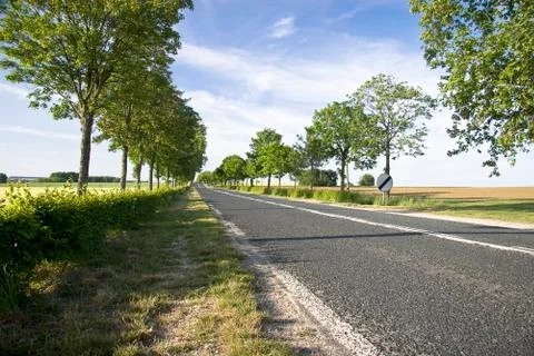 Summer road Stock Photos