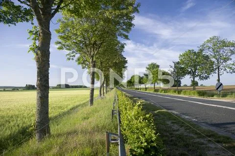 Summer road Stock Photos