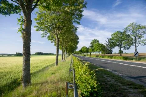 Summer road Stock Photos