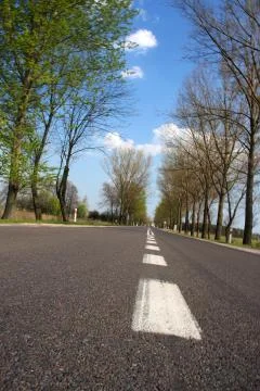 Summer road Foto stock