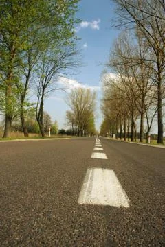 Summer road Stock Photos