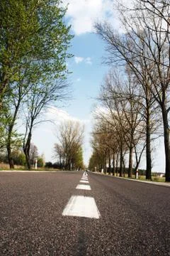 Summer road Stock Photos