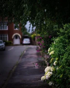 Summer Road Stock Photos