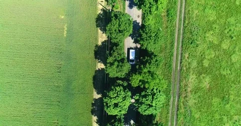 A summer road surrounded by trees Stock Footage 76797590