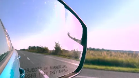 Summer road trip. View in the rear view mirror of a car. Road trip. Summer car Video stock 261220149
